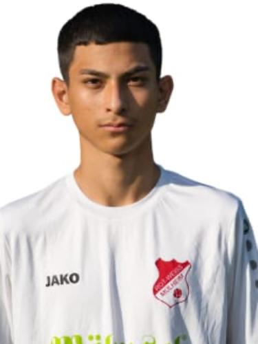 Amir Mohammad Jafari
