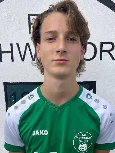 Arist Florin Freiherr Von Dellingshausen