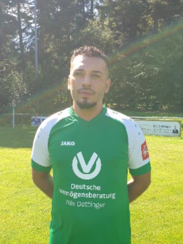 Tayfun Bicer