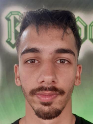 Ronaldo Ismailovic
