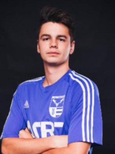 Lion Becker