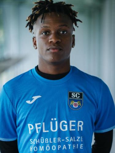 Sergio Ferraz Teixeira