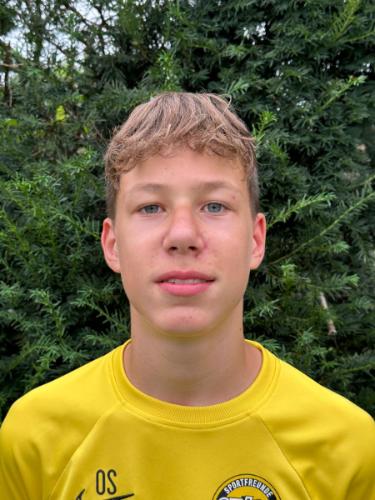 Oskar Schaub
