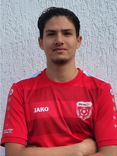 Navid Hassani