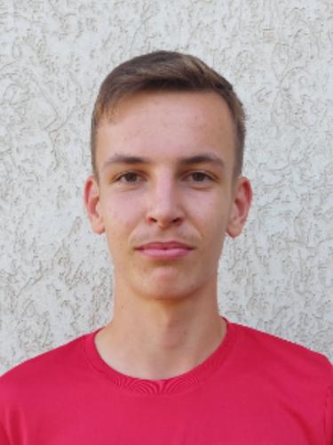 Luka Hensel