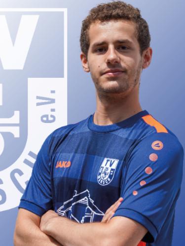 Nico Raab