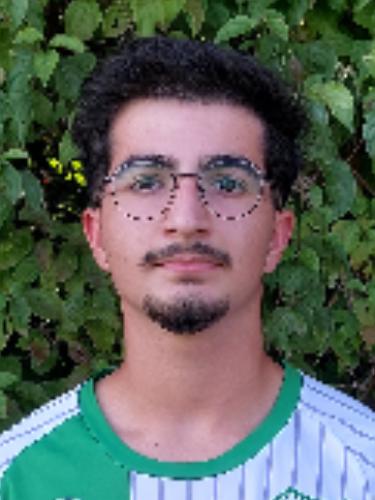 Baris Demir