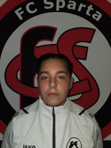 Tyler Gerenli