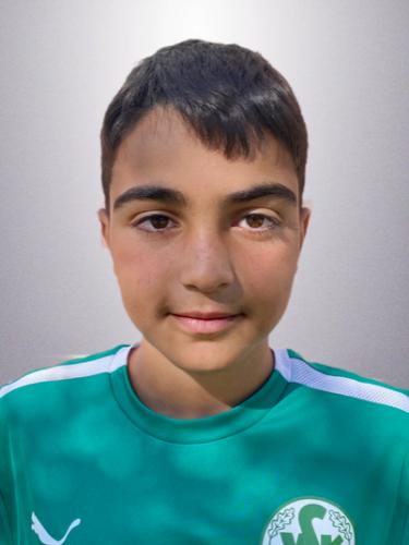 Ali Hamdan