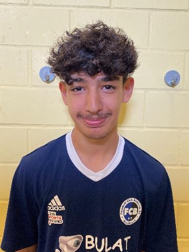 Mohammed Hossein Tamaskanizahedi