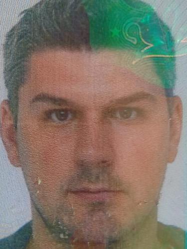 Damir Mesic