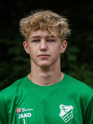 Niclas Leon Sabelfeld