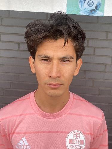 Mohammed Erfan Zafari