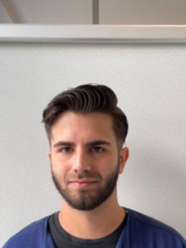 Elmas Dzafic
