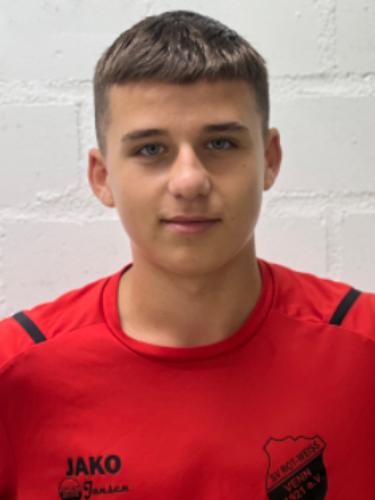Slavko Luka Milardovic