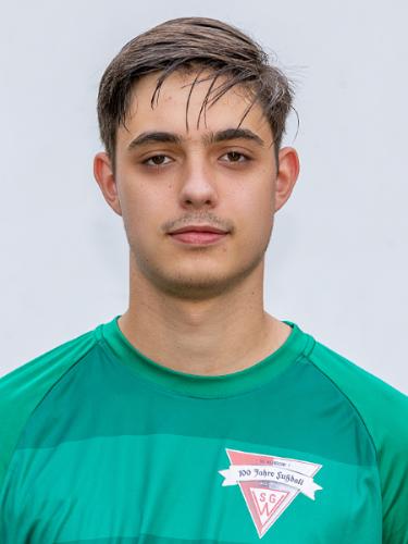 Dominik Schmidt