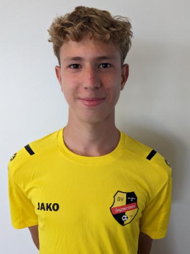 Andrii Dobrovolskyi