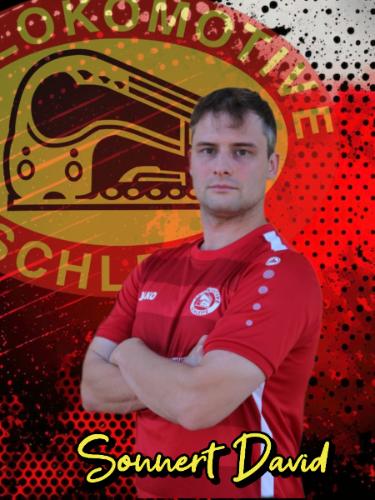 David Sonnert