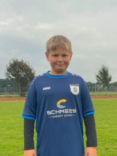 Henrik Vladimir Krause-Heiber