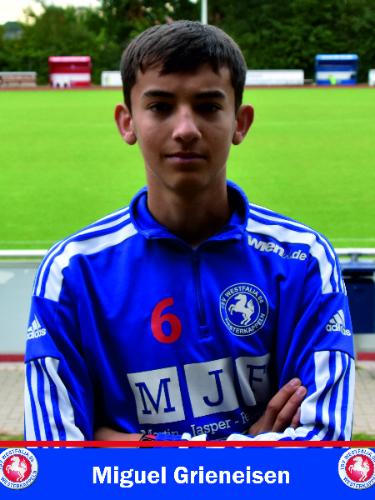 Miguel Grieneisen