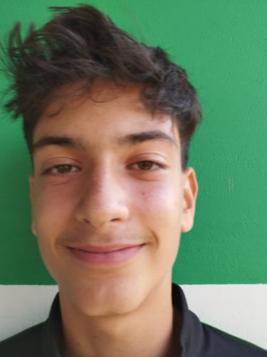 Luis Sahin