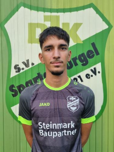 Damir Keric