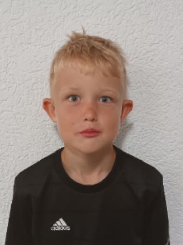 Felix Diener