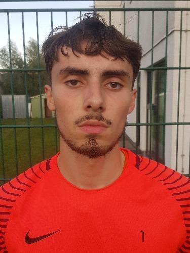 Namik Alukic