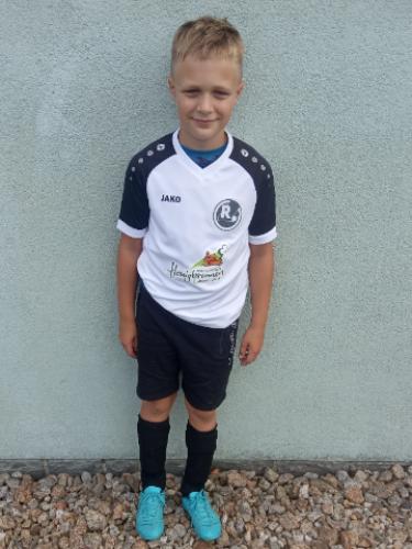 Hermann Michel Strehlau