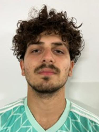 Parviz Destani
