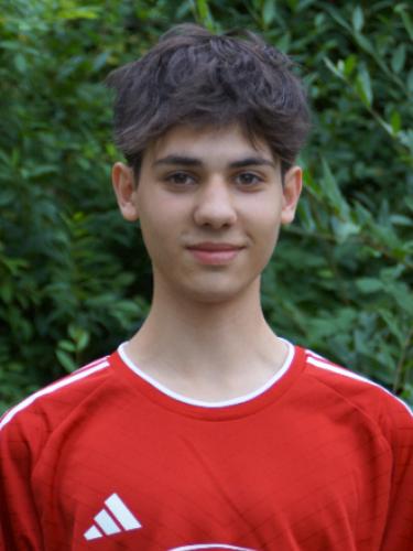 Niko Wiesner