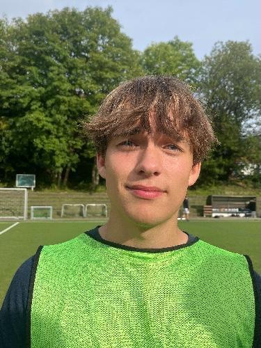 Johann Henri Schaake