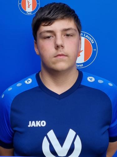 Dominik Mehnert