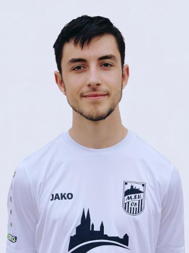 Luis Alexander Ehrenfried