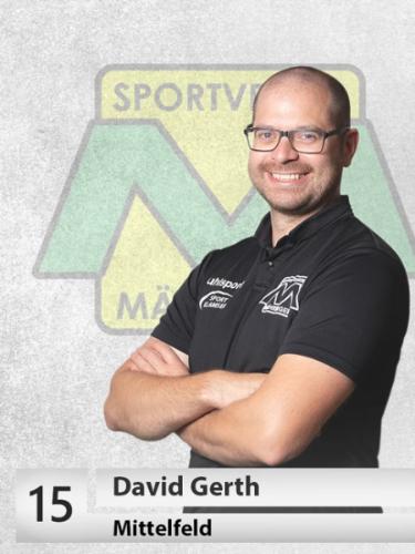 David Gerth