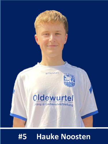 Hauke Noosten