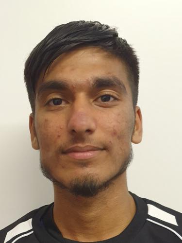 Morteza Gholami