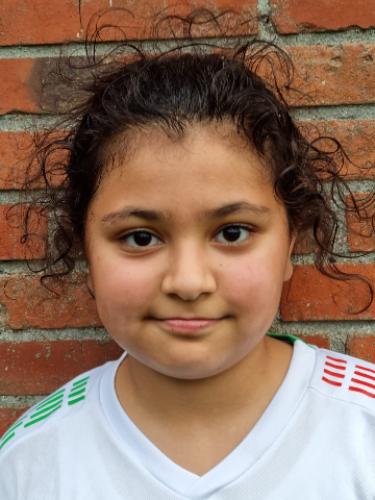 Delsa Nikfarjamsarabi