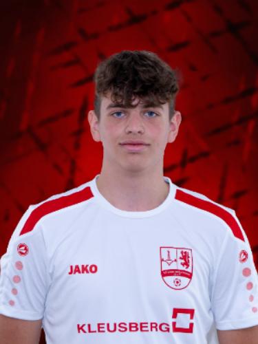 Fabio Folchi