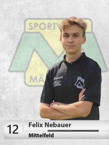 Felix Nebauer