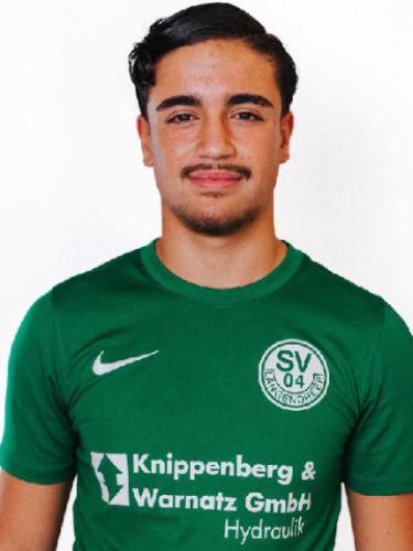 Deniz Dogan Altungök