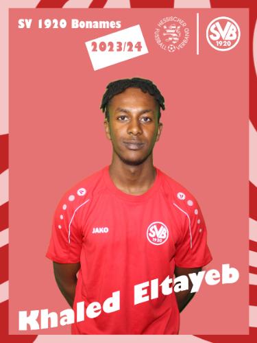 Khaled Eltayeb