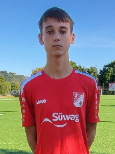 Stipe Drmic
