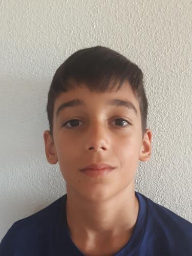 Damir Mujovic