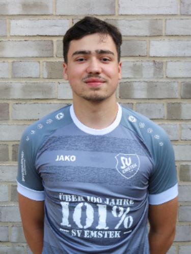 Dzenan Zejnelovic