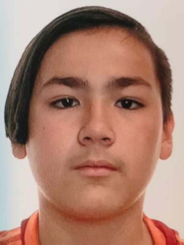 Leo-Akito Werner