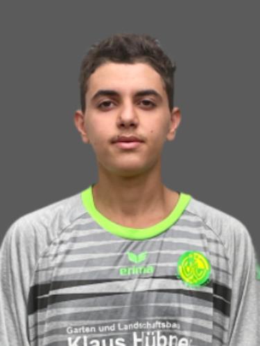 Mohammad Reza Zareeian