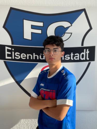 Pedro de Mesquita Vieira