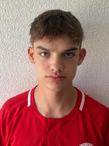 Alexander Scheuer