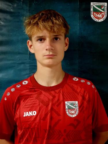 Levi Wilhelm Lammering